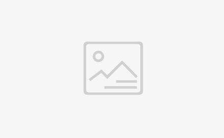 湄洲罗屿港：上半年对台铁矿石中转量突破180万吨，同比增长超60％